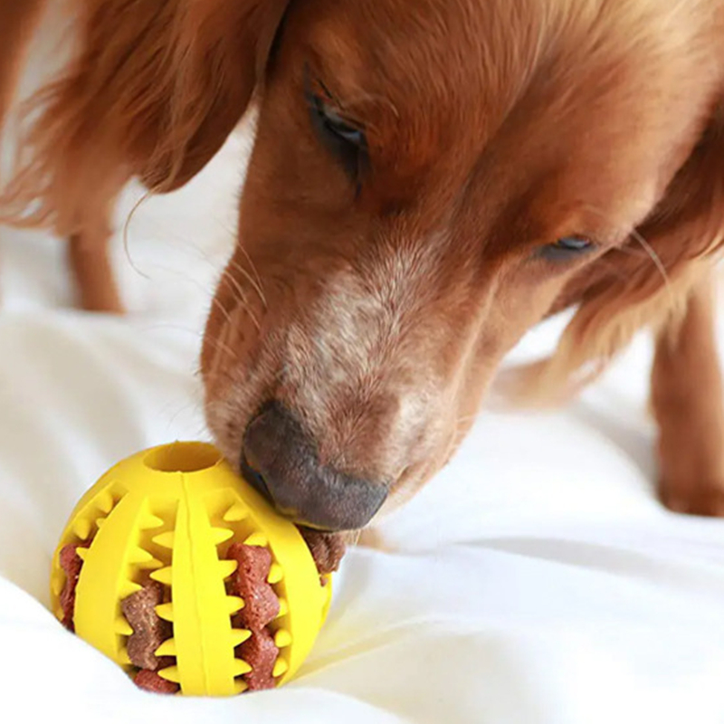 Dog Treat Toy Ball 2