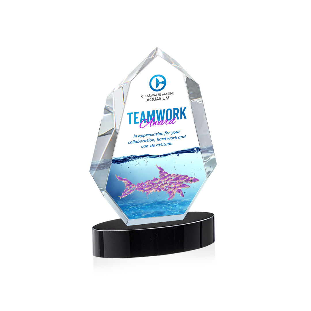 Norwood VividPrint™ Award on Alberton Base - Black 4