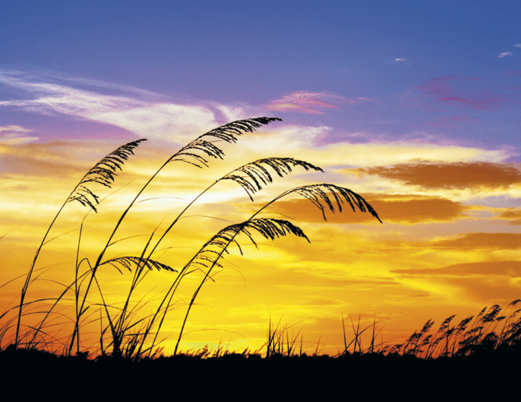 Triumph® Calendars Sunrise Sunset Calendar 66