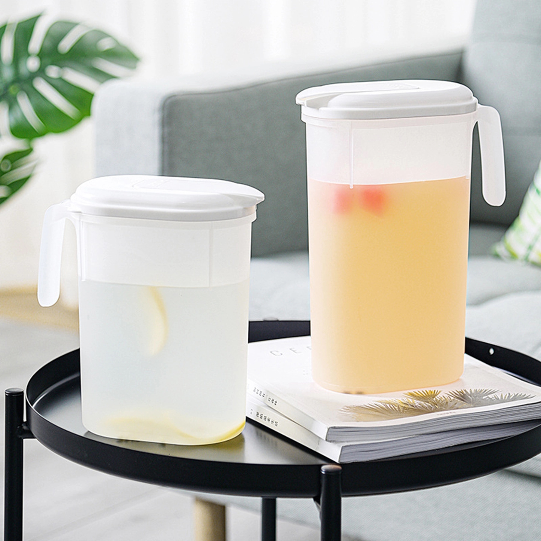Fridge Door Pitcher 3