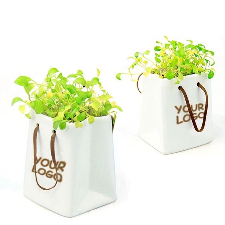 Ceremic Flower Pot 2
