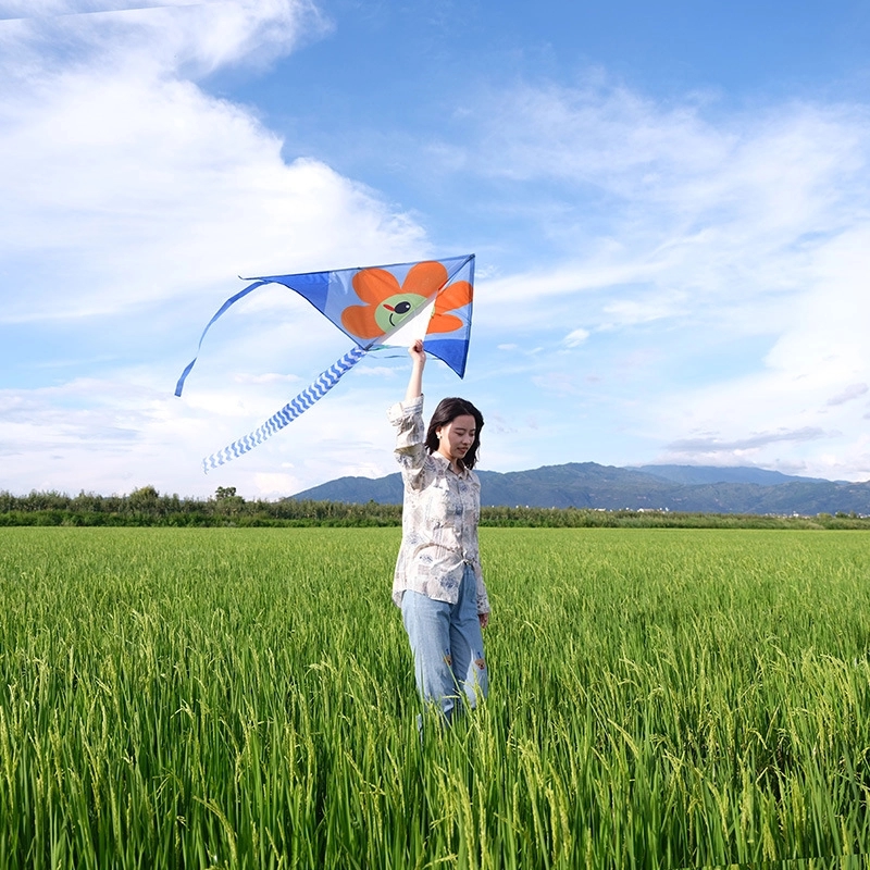 Xl Delta Jumbo Kite - 40" X 20" 5