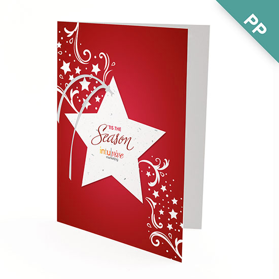 Seasonal Star Ornament Business Holiday Cards 11