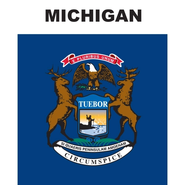 Mini Banner - Michigan 1