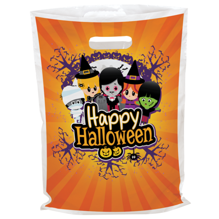 Digital Full Color 2-Sided Plastic Bag (12" x 15")