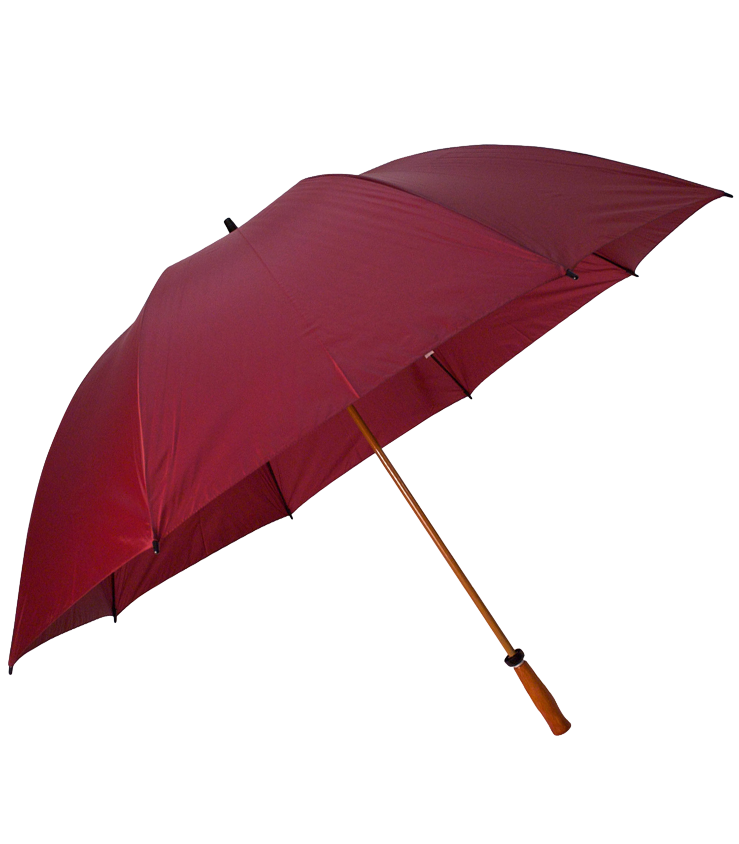 The Mulligan Golf Umbrella 17