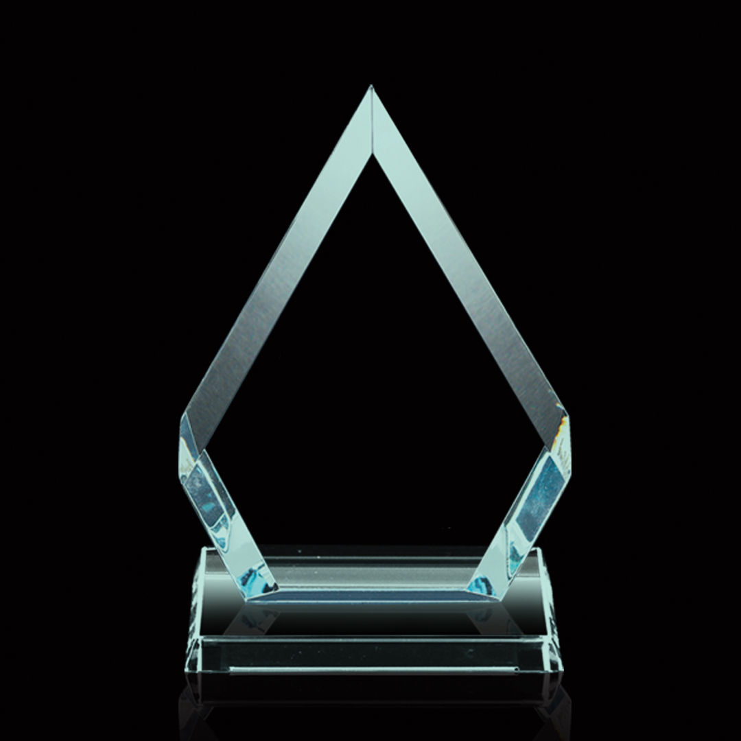Achievement Award 18
