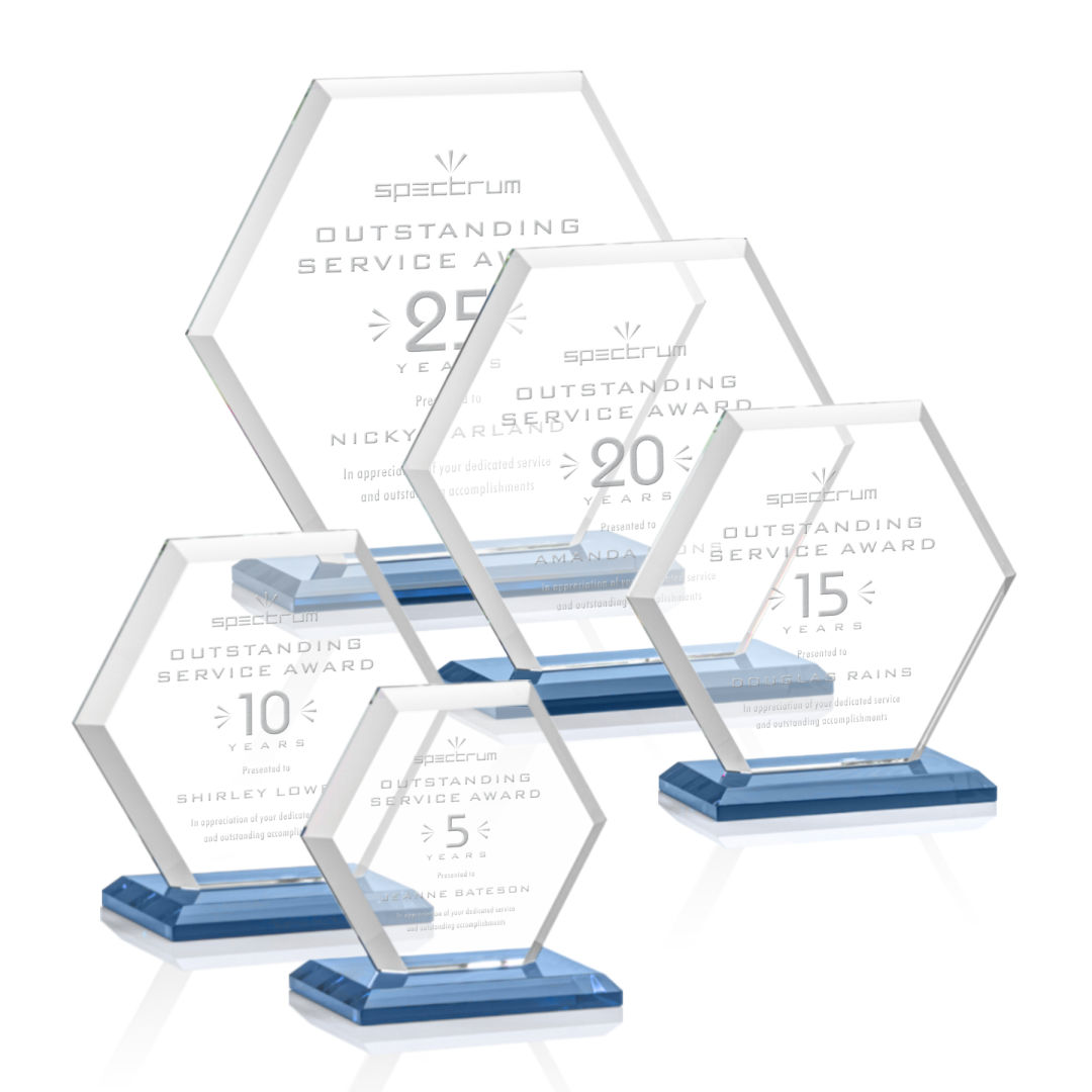 Barnett Award - Sky Blue 3