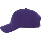 Unisex DOMINATE Ballcap 258