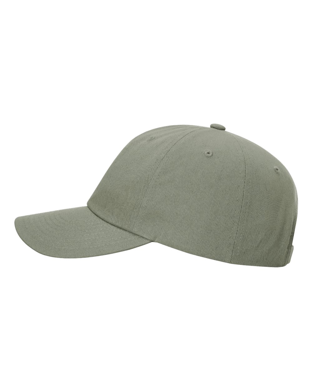 Sustainable Ashland Dad Hat - 254RE 5
