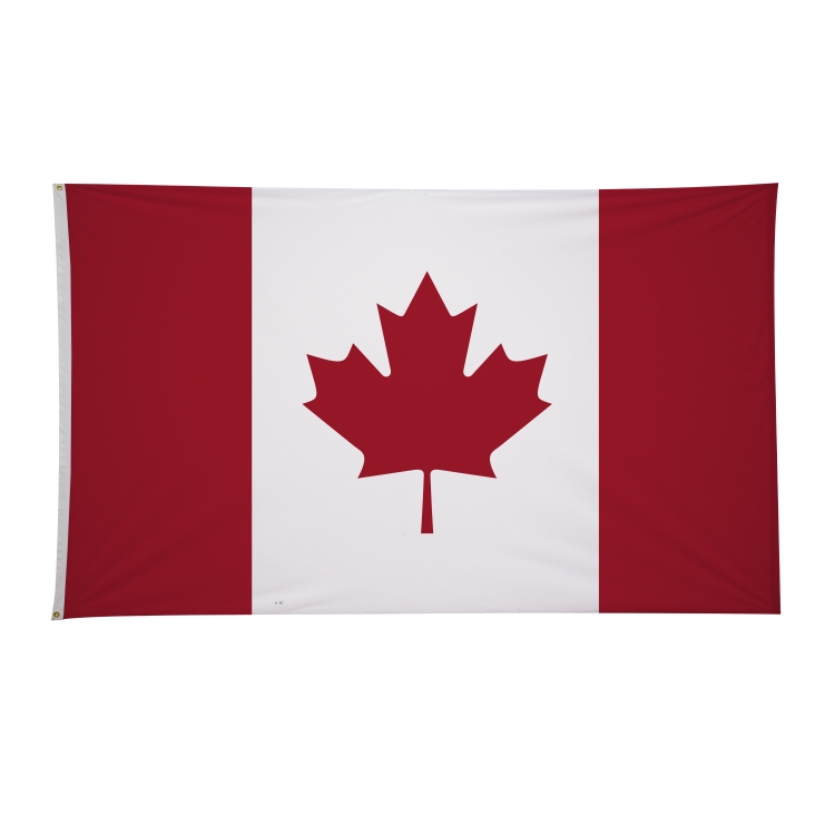 6' x 10' International Flags 16