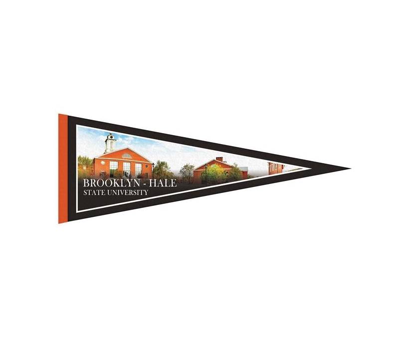 9" x 24" Full Color Felt Pennant Flag Banner with Strip 2