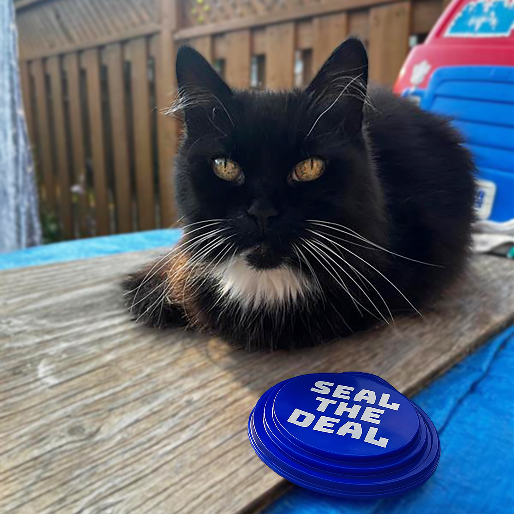 3-Step Lid™ 1