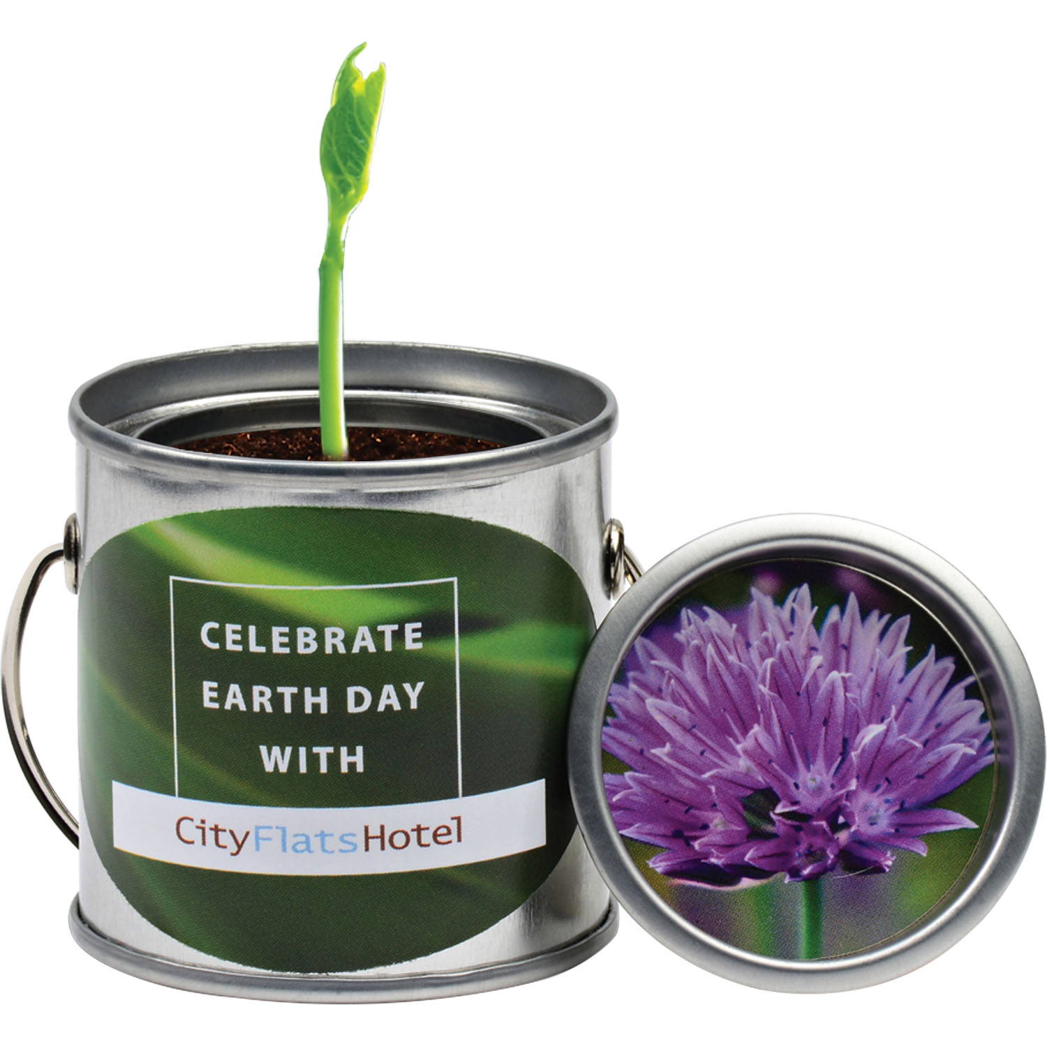 Paint Pail Planter Kit 4
