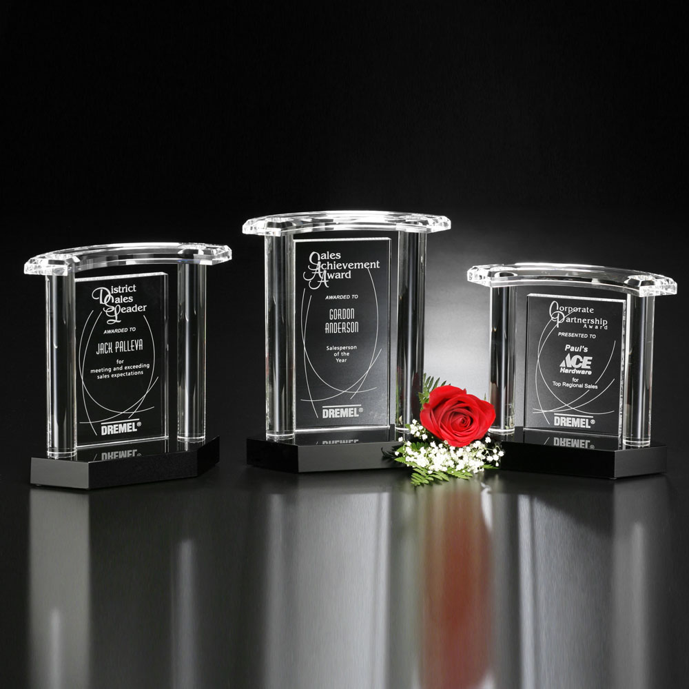 Vanessa Award 6