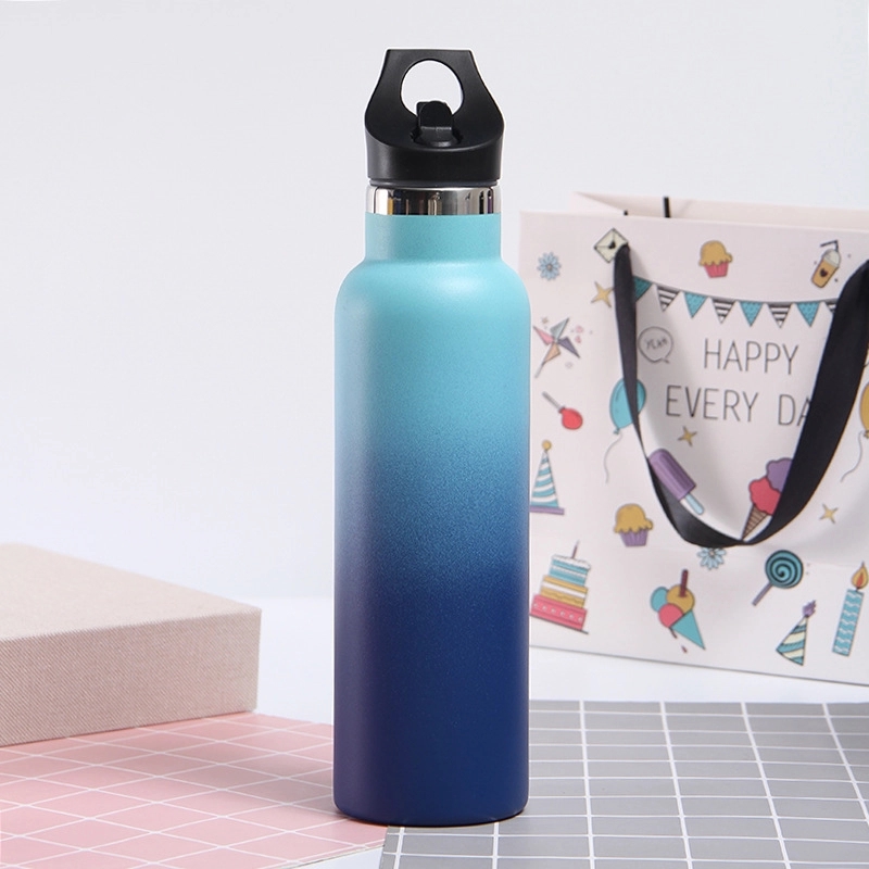 20 oz Stainless Steel Water Bottle w/Straw Lid 5
