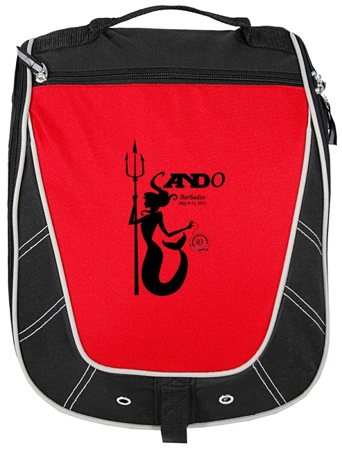 The Essential Shoe Bag 2