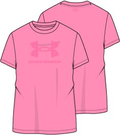 Women's UA Tech Big Logo Short Sleeve 2
