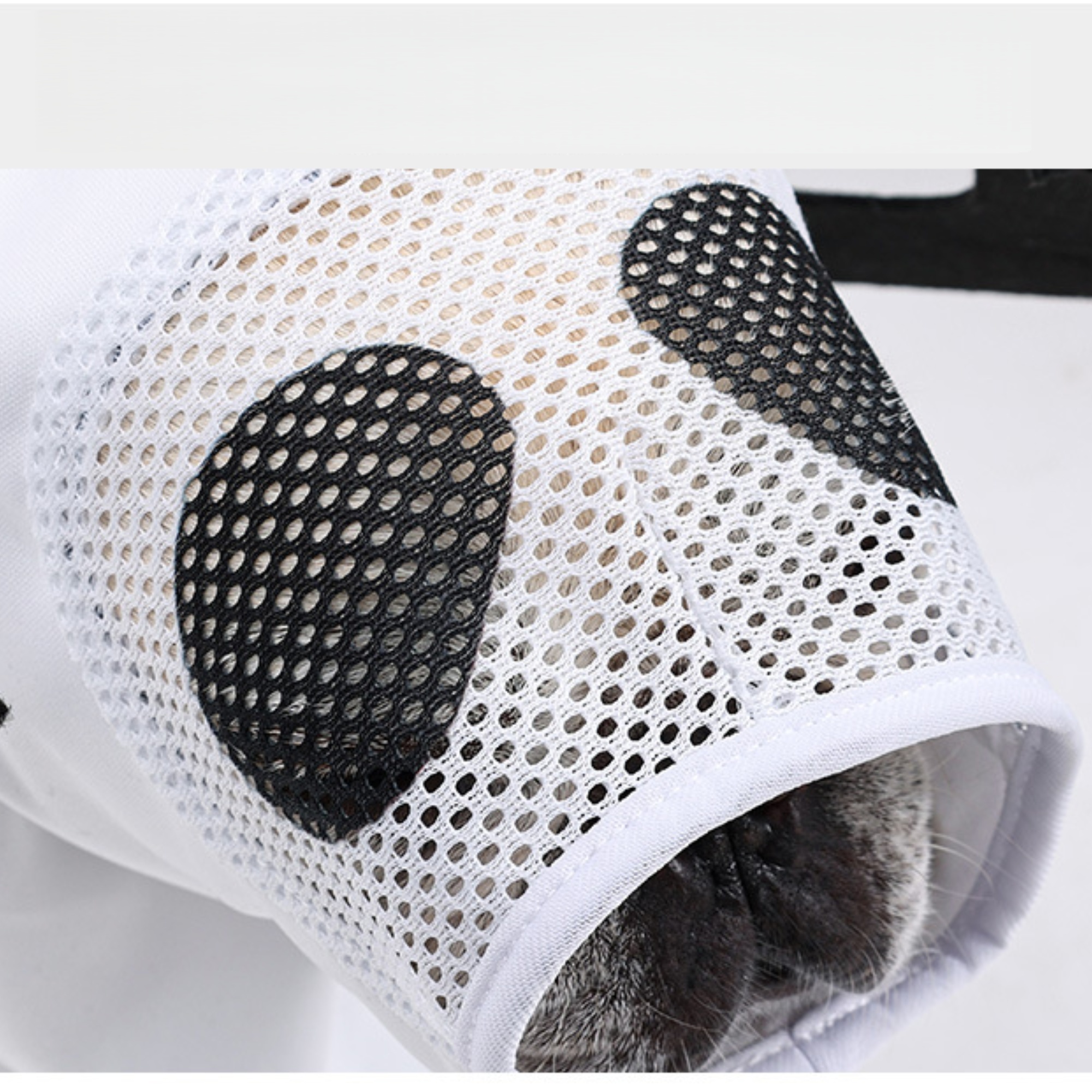 Pet Halloween ghost transformation costume 2