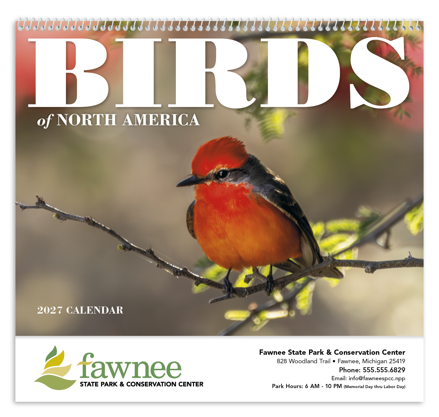 Good Value™ Birds of North America - Spiral Calendar 35