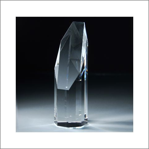 Crystal Shard Award 2