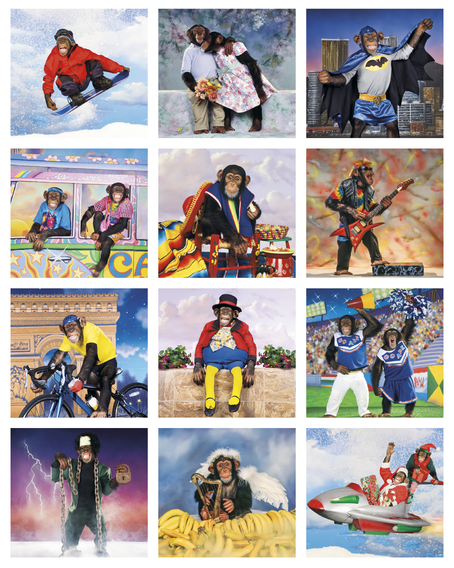 Triumph® Calendars Monkey Business Calendar 15