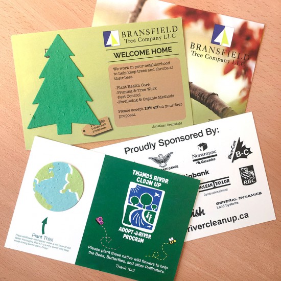 Double-Sided Medium Eco Panel Card With Shape 4