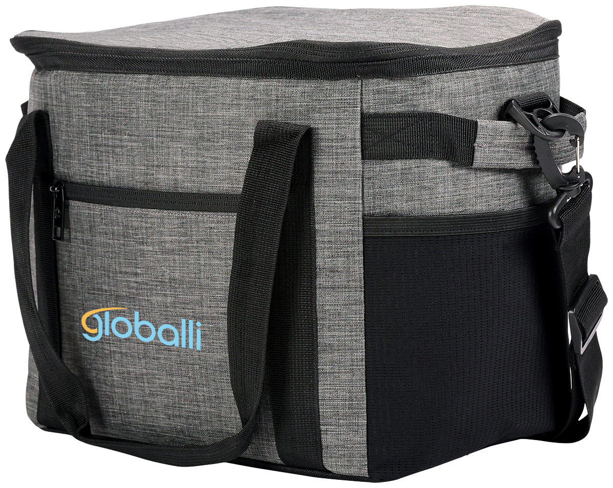 Alpine 24 Can Cooler 4