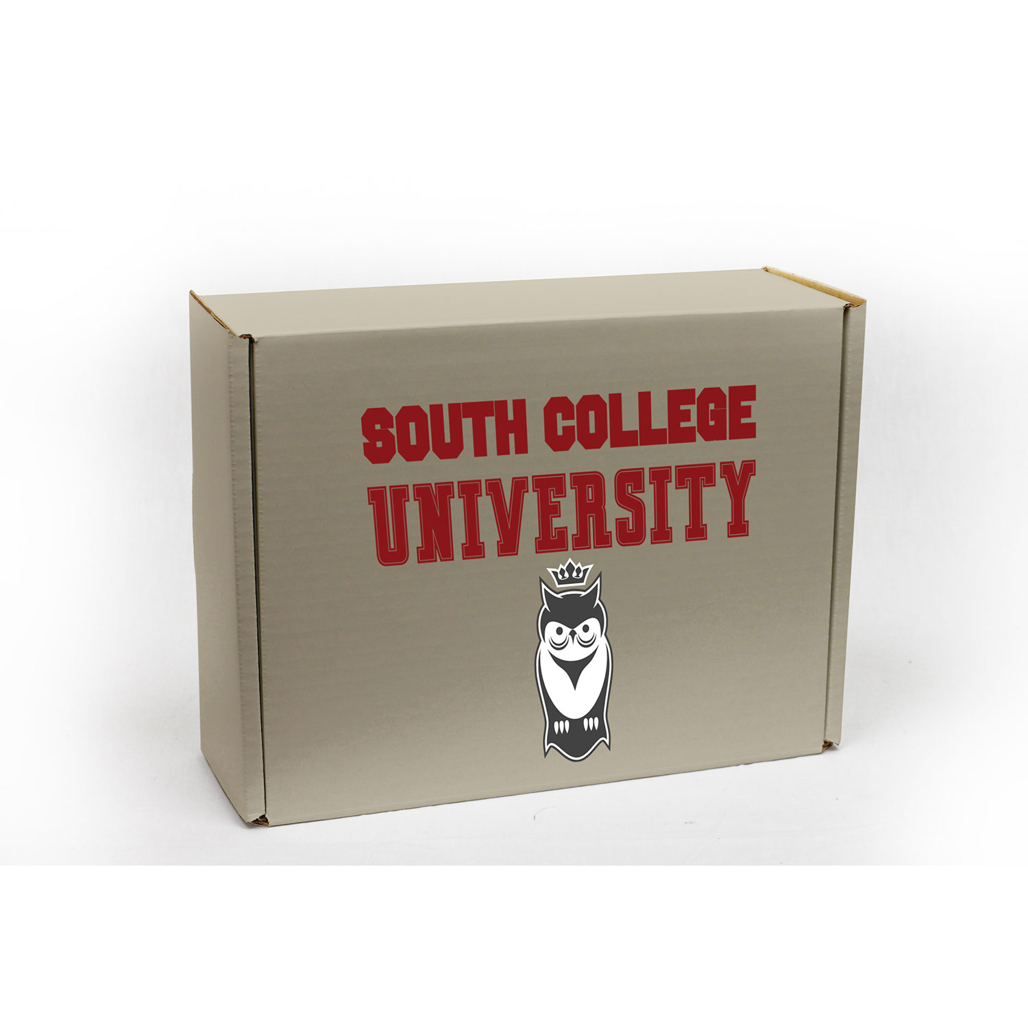 The Snack-Pack Box 4