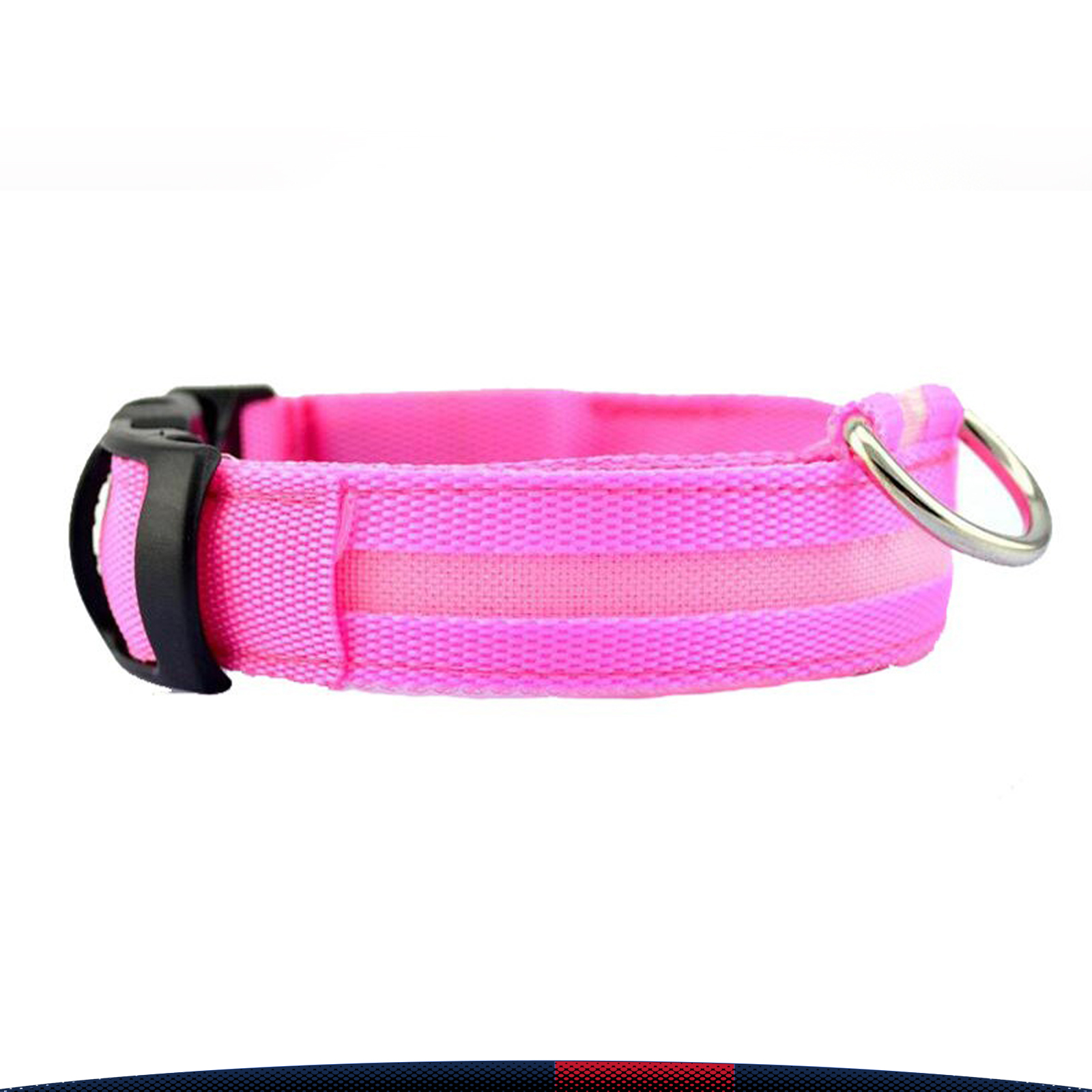 Led Dog Collar 1