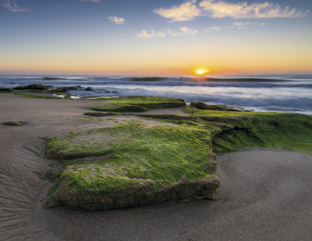 Good Value™ Landscapes of America - Stapled Calendar 40
