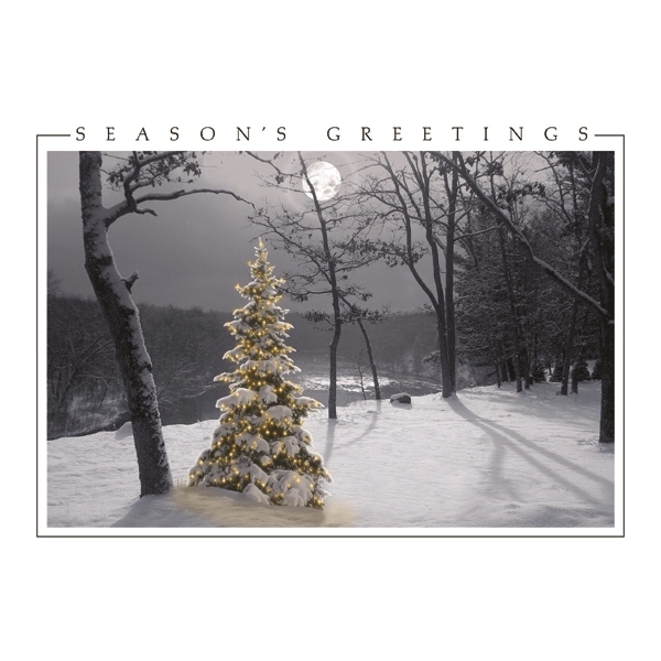 All is Bright Holiday Greeting Cards 2