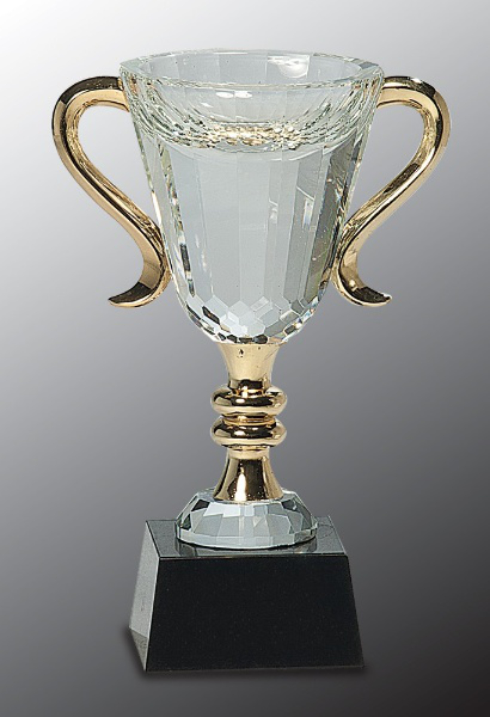 7 1/4" Crystal Cup with Gold Handles and Stem Crystal Award 3