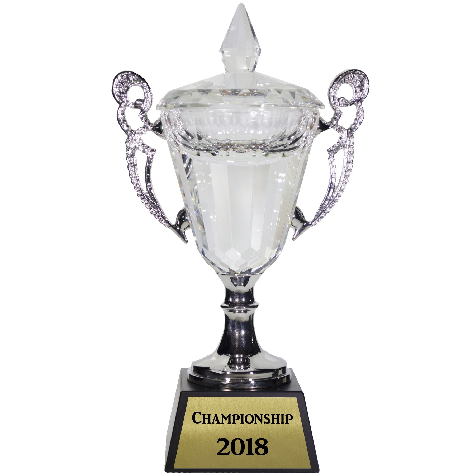 Medium Silver Muirfield Cup (9 1/2")