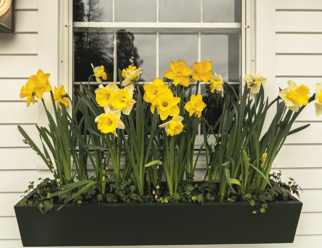 Good Value™ Garden Walk - Stapled Calendar 24