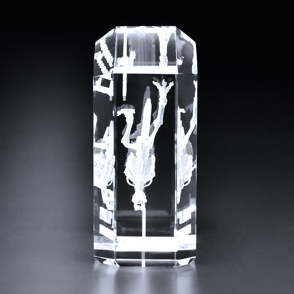 Morton Award 4