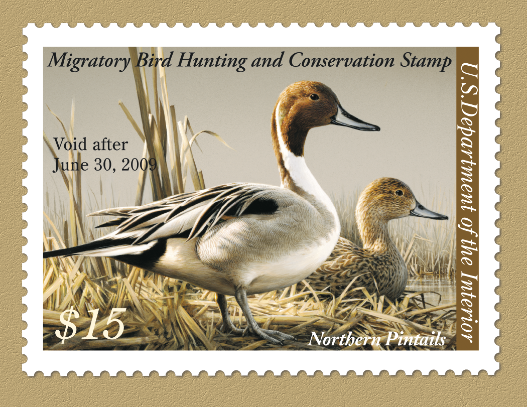 Triumph® Calendars Duck Stamps Calendar 67