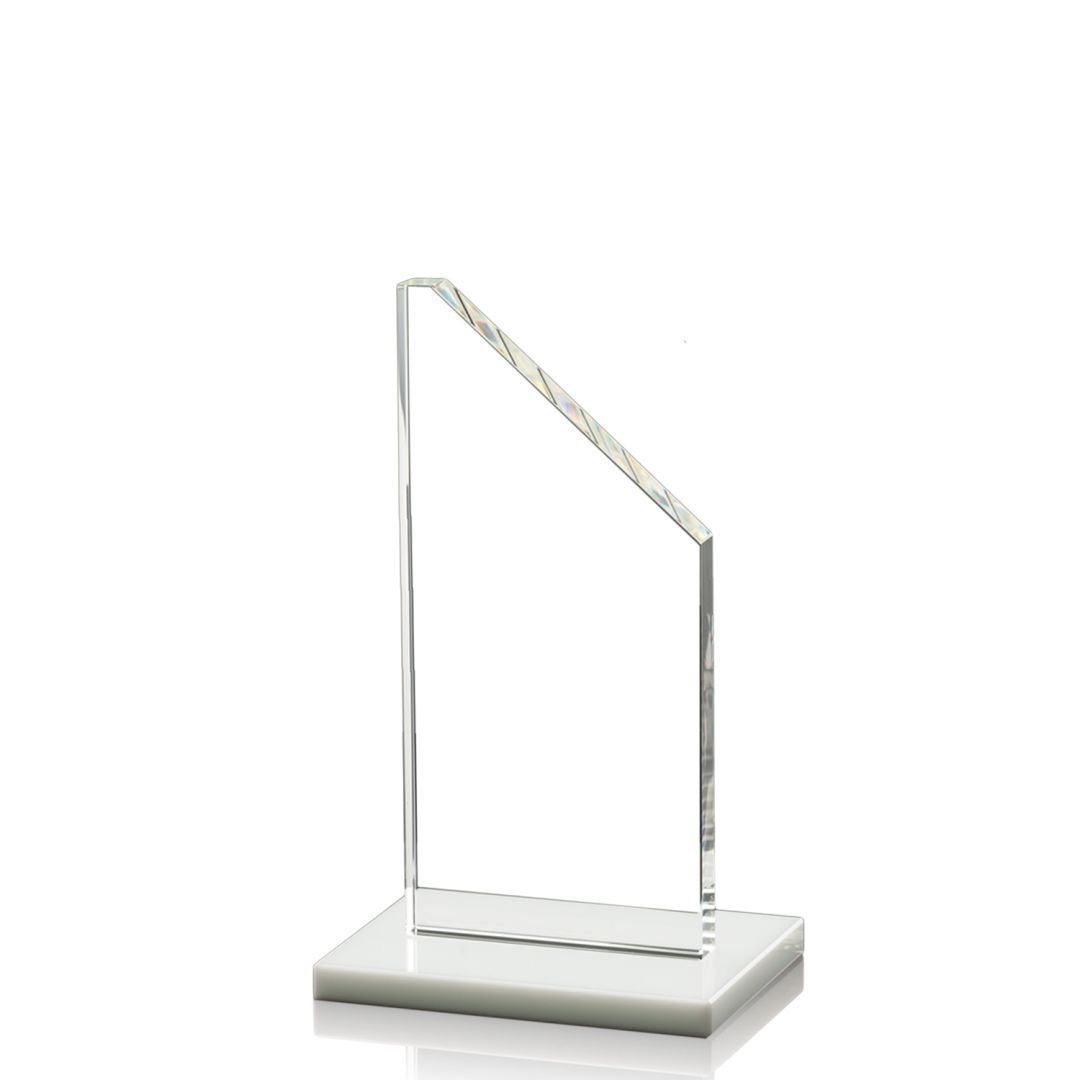 Dixon Award - White 5