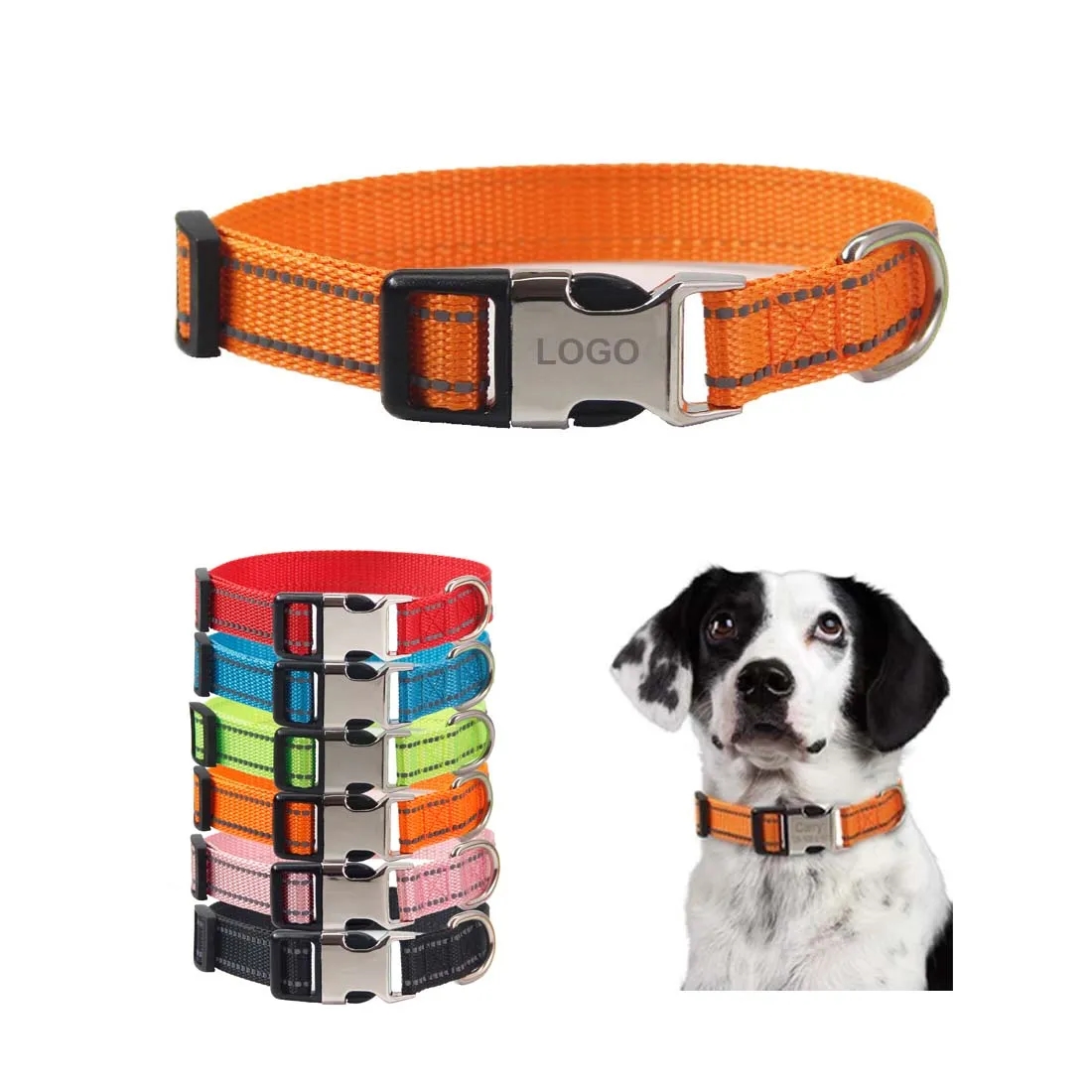 Dog Collar with Metal Buckle 4