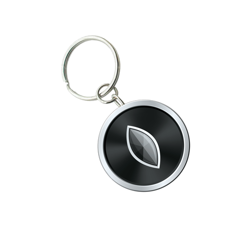 Customized Solid Iron Keychain with Shiny Gold Plating 3