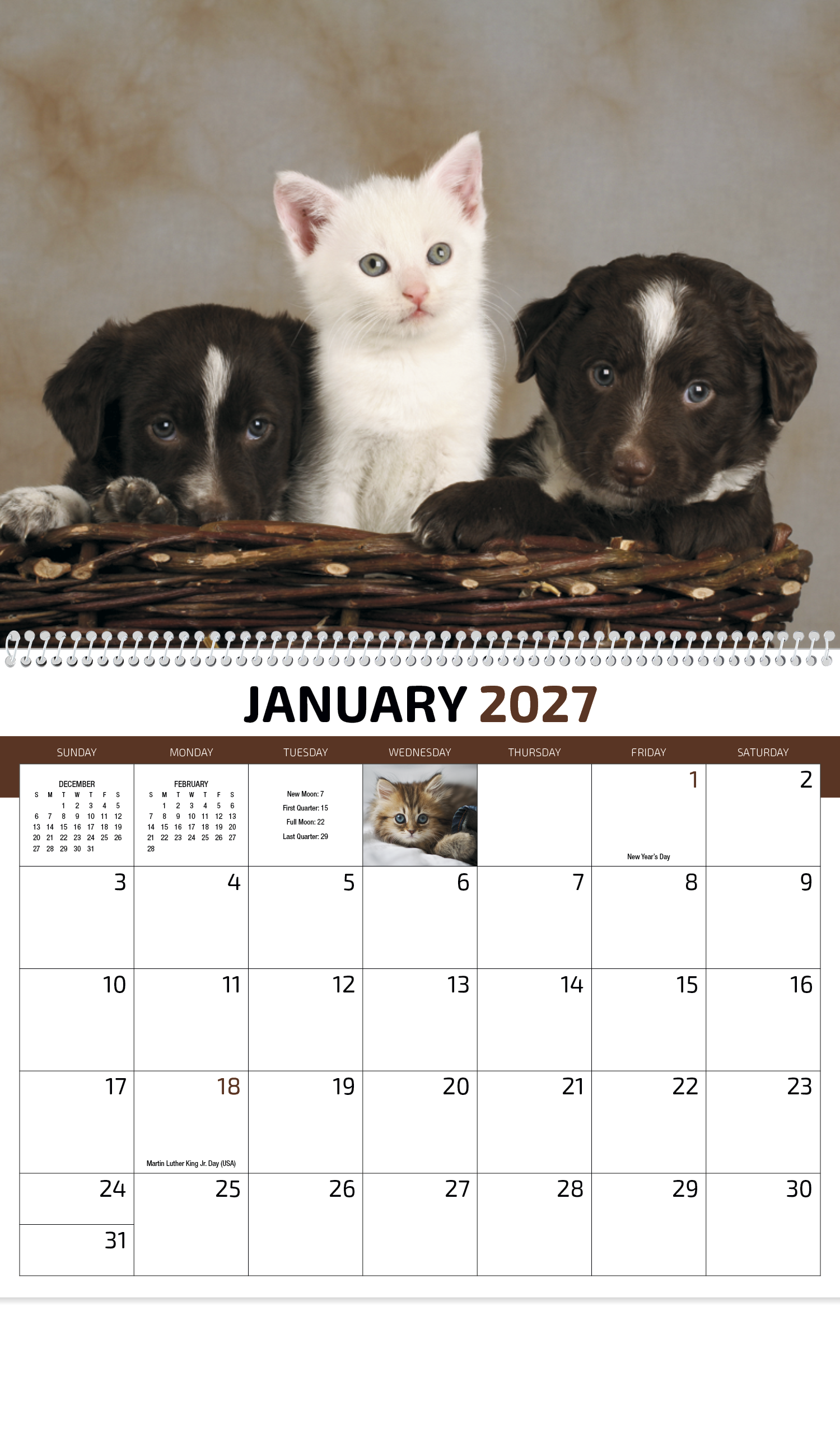 HotLine® Products Four Paws Appointment Calendar - Spiral 22