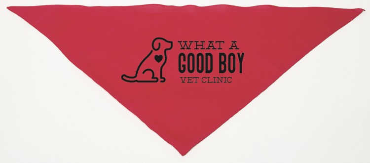 Personalized Large Red Triangle Pet Bandana