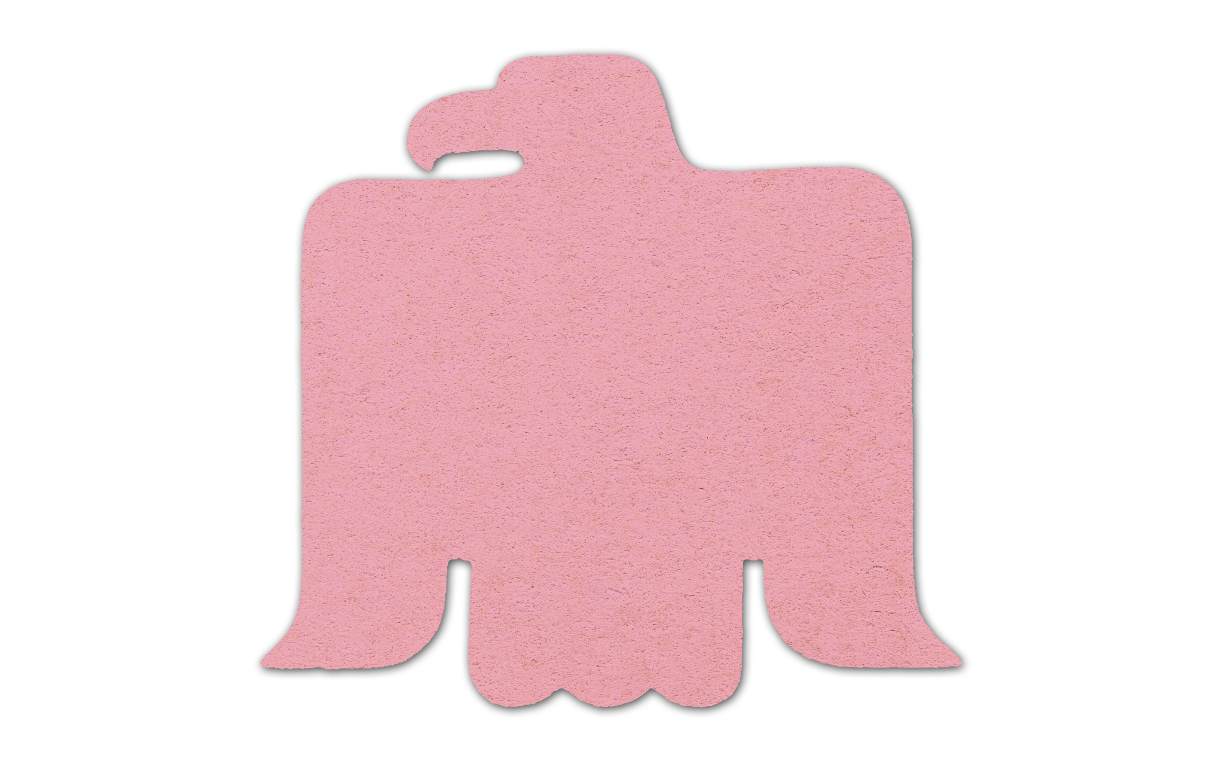 Eagle Compressed Sponge 4