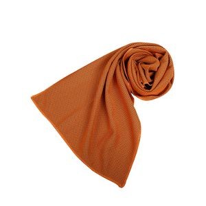 Quick Dry Microfiber Towel 37