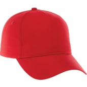 Unisex DOMINATE Ballcap 279