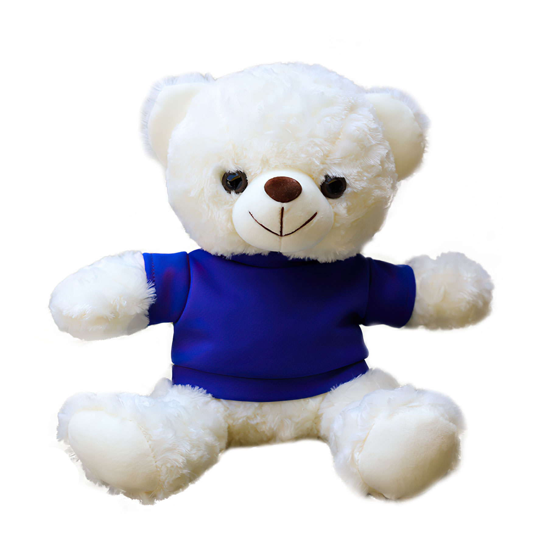 11'' Seated Style Stuffed Plush Teddy Beat With T-shirt 12