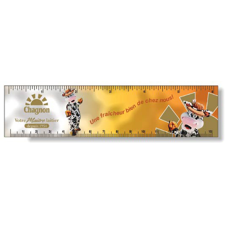 .040 White Matte Styrene Plastic 6" Rulers (1.5" x 6.25") square corners, full colour imprint