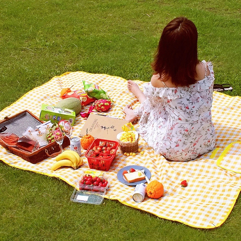 Picnic Blanket 2