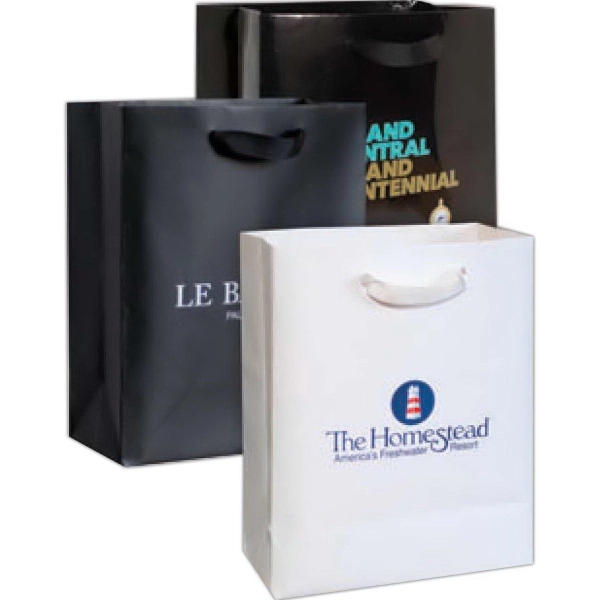 DomesticBag, Euro Gloss Laminated Paper Totes with Ribbon Ha 1