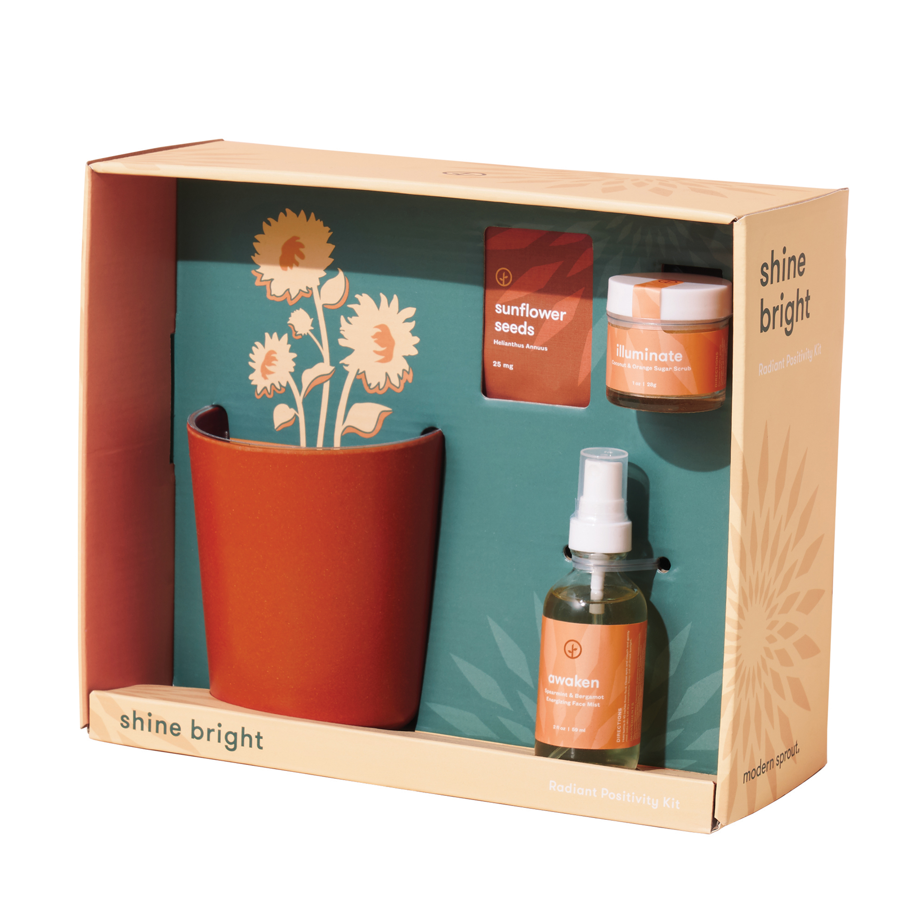 Modern Sprout® Shine Bright Take Care Kit - Sunflower 4